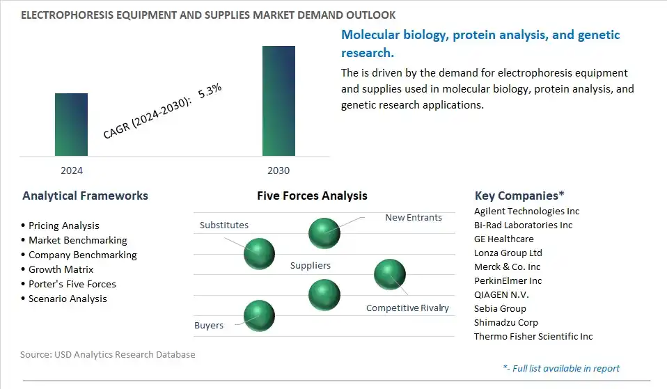 Electrophoresis Equipment and Supplies Industry- Market Size, Share, Trends, Growth Outlook